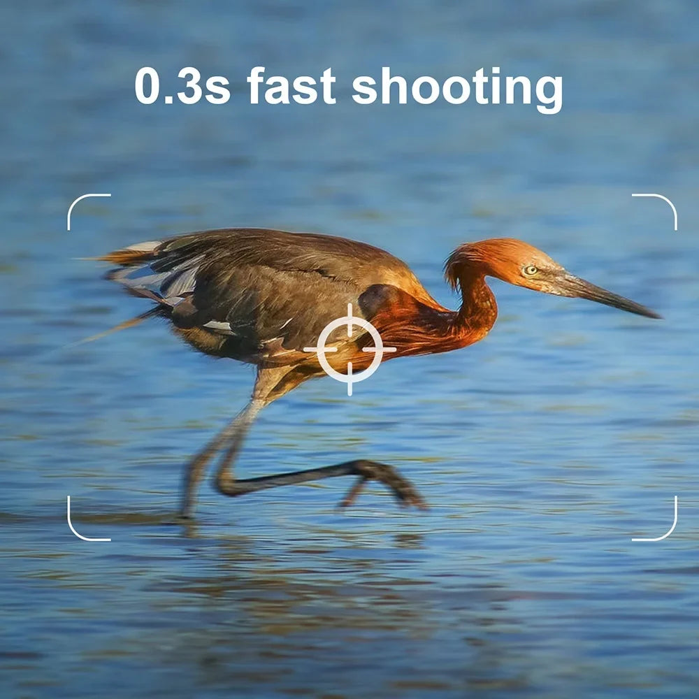 Pristin Camera;Weatherproof 0.2S Speed IP65 Weatherproof 0.2S Months Standby IP65 Camera Motion Small Camera Portable Animal/Plant Outdoor Use 6 Vision Camera Motion Speed Camera Portable