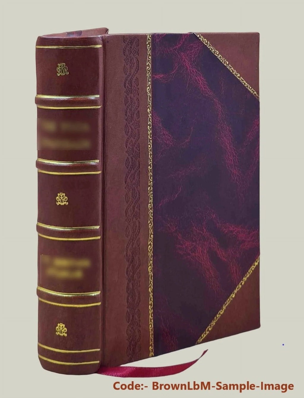 Gold rush : the journals; drawings; and other papers of J. Goldsborough Bruff; captain; Washington City and California Mining Association; April 2; 1849-July 20; 18 [Leather Bound]