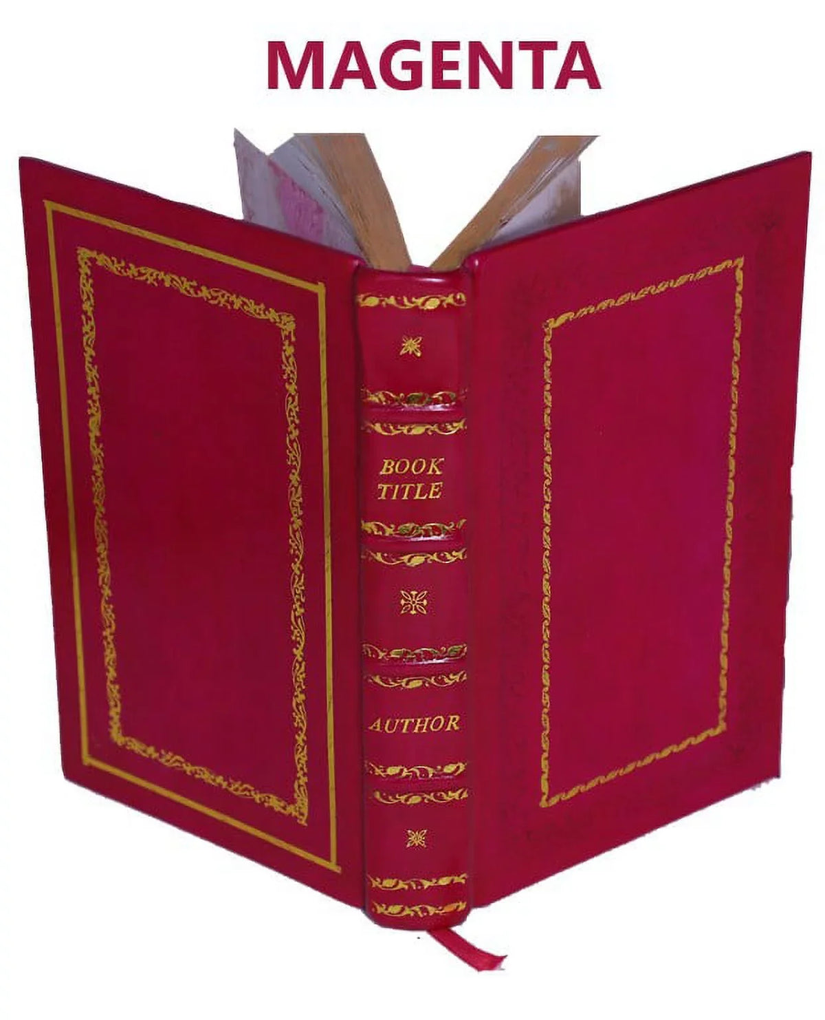 Historia de gentibus septentrionalibus authore Olao Magno; Gotho; archiepiscopo Vpsalensi; Suetiae & Gothiae primate 1562 [Premium Leather Bound]