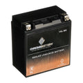 Chrome Battery YTX16L-BS (16L-BS 12 Volt;14 Ah; 230 CCA) Jet Ski Battery for Kawasaki 550cc Js550 Sx 1995