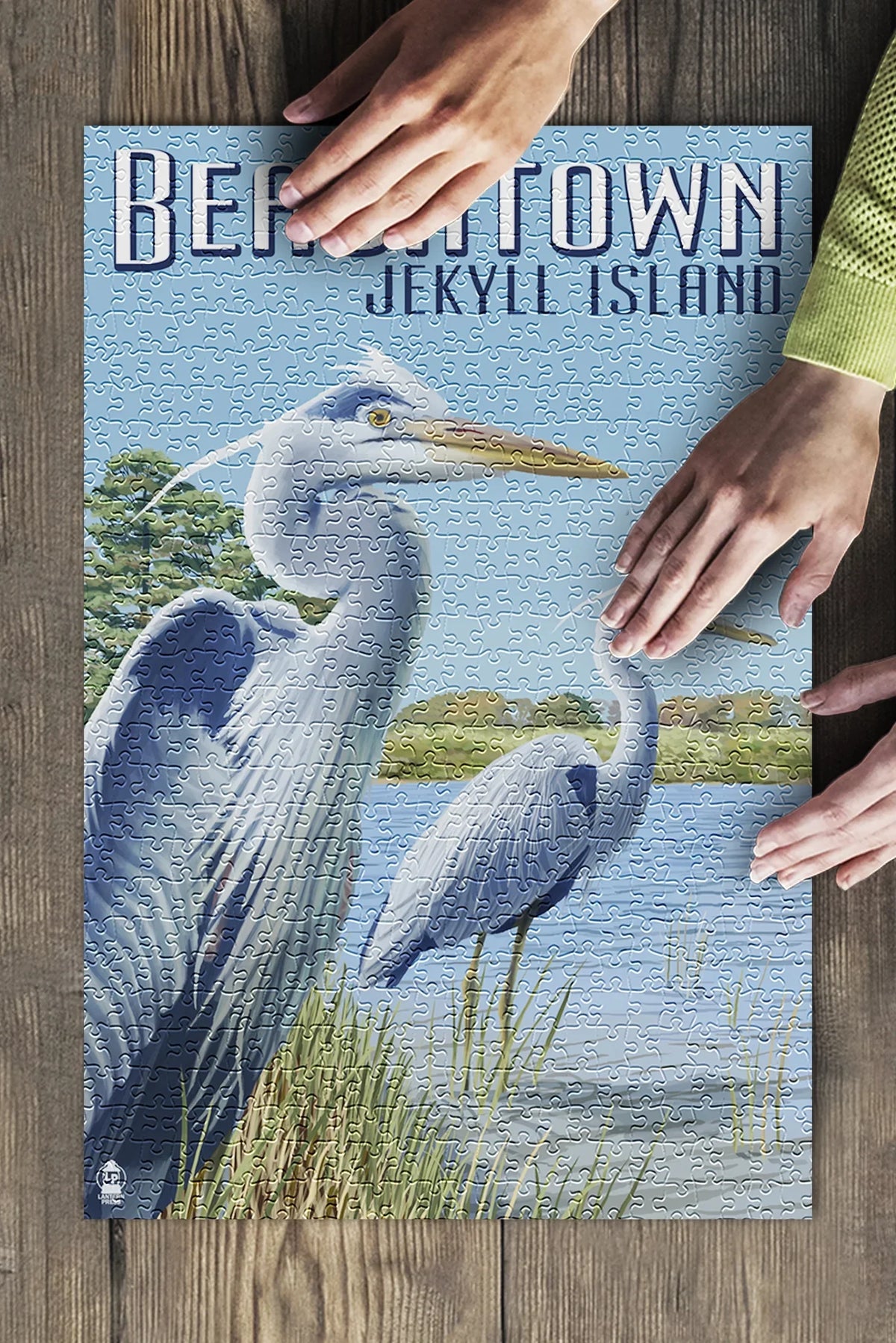 Beachtown; Jekyll Island; Georgia; Blue Herons (19x27 inches; Premium 500 Piece Jigsaw Puzzle for Adults and Family; Made in USA)