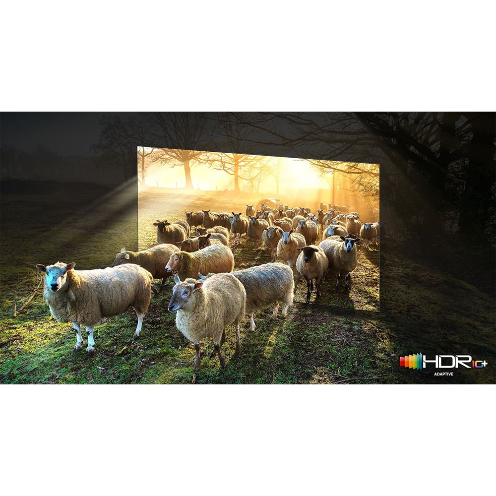 Restored Samsung QN75QN900A 75 cm Neo QLED 8K Smart TV (2021) Bundle with 2 Year Premium Extended Protection Plan (Refurbished)