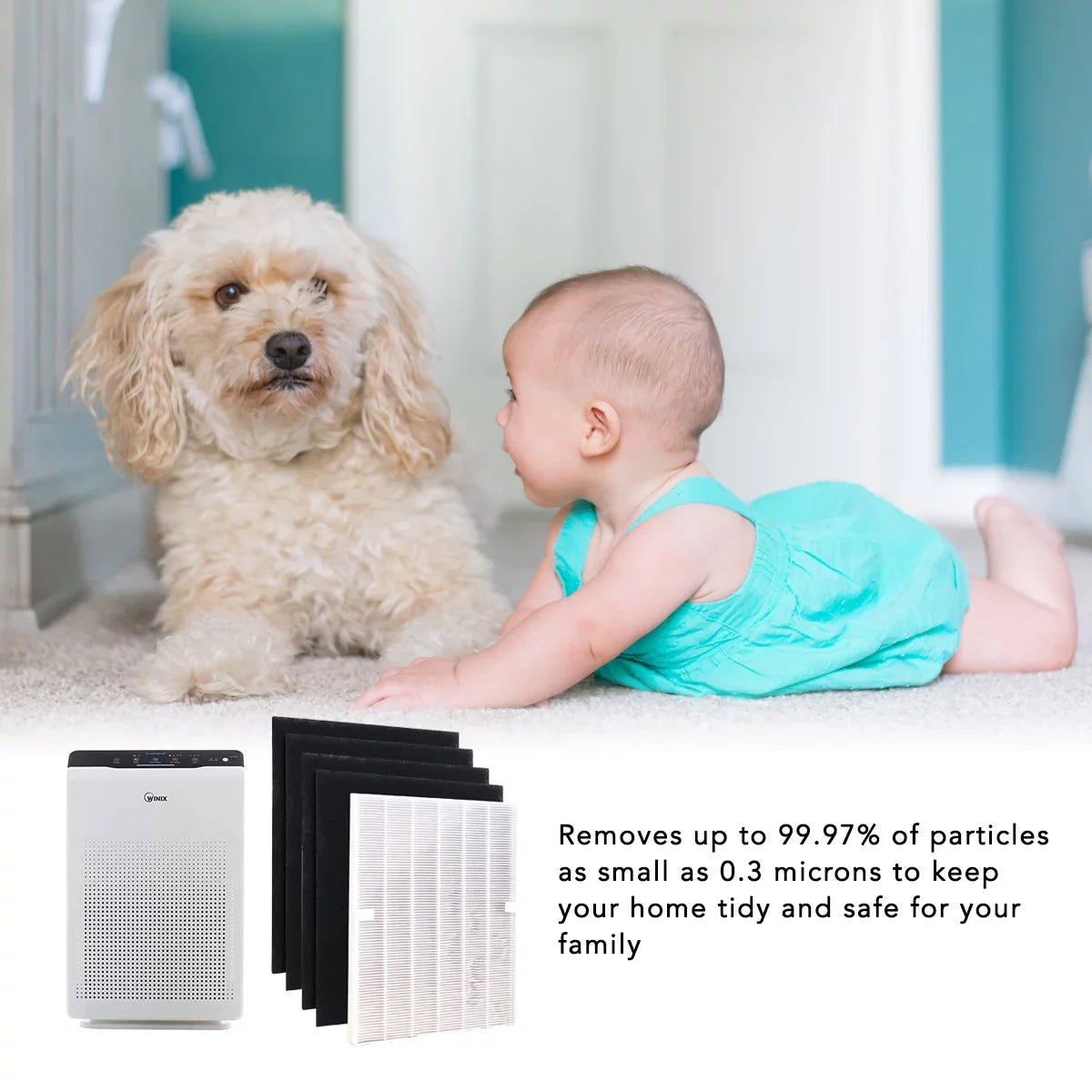 HEPA Filter for Winix 115115 Replacement Filter A for C535; 5300-2; 6300-2;P300; 5300 and 5500 (2 Set)