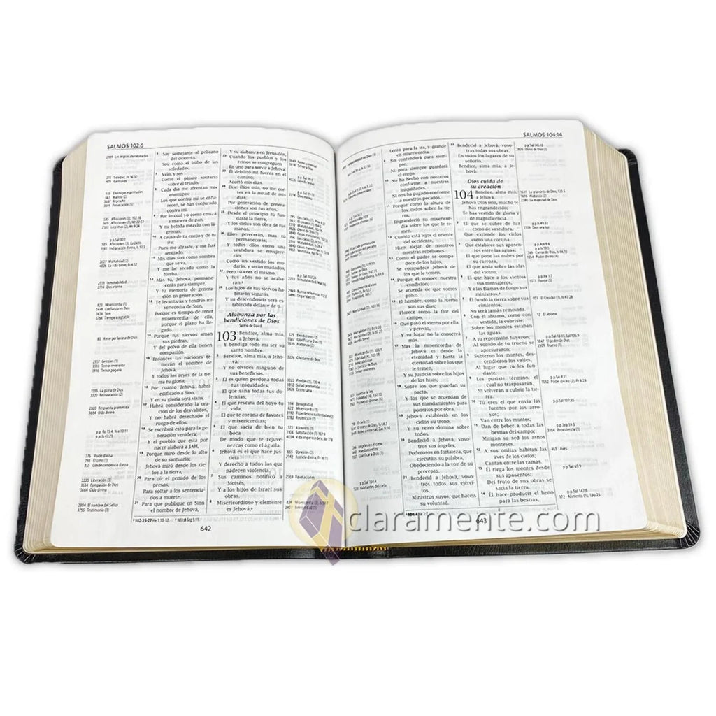 Biblia de Referencia Thompson; Reina Valera 1960; Piel Reciclada/ Spanish Thompson Chain Reference Bible; Reina Valera 1960; Recycled Leather Fibers (Other)
