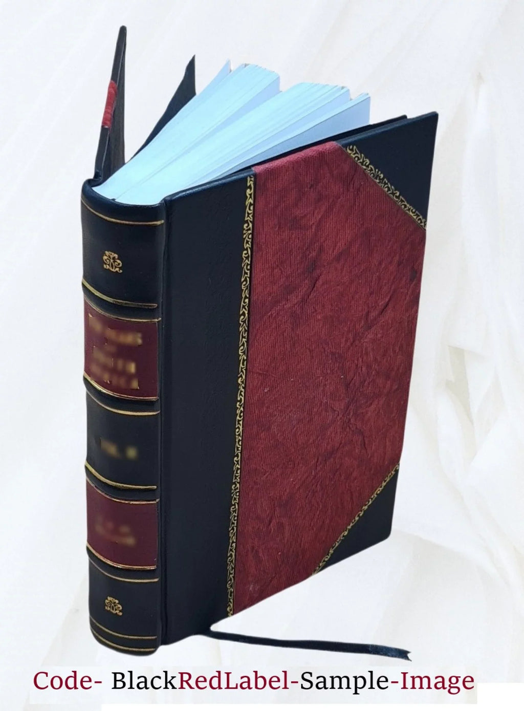 Sulle strade ferrate pontificie pensieri economico-amministrativi 1846 [Leather Bound]