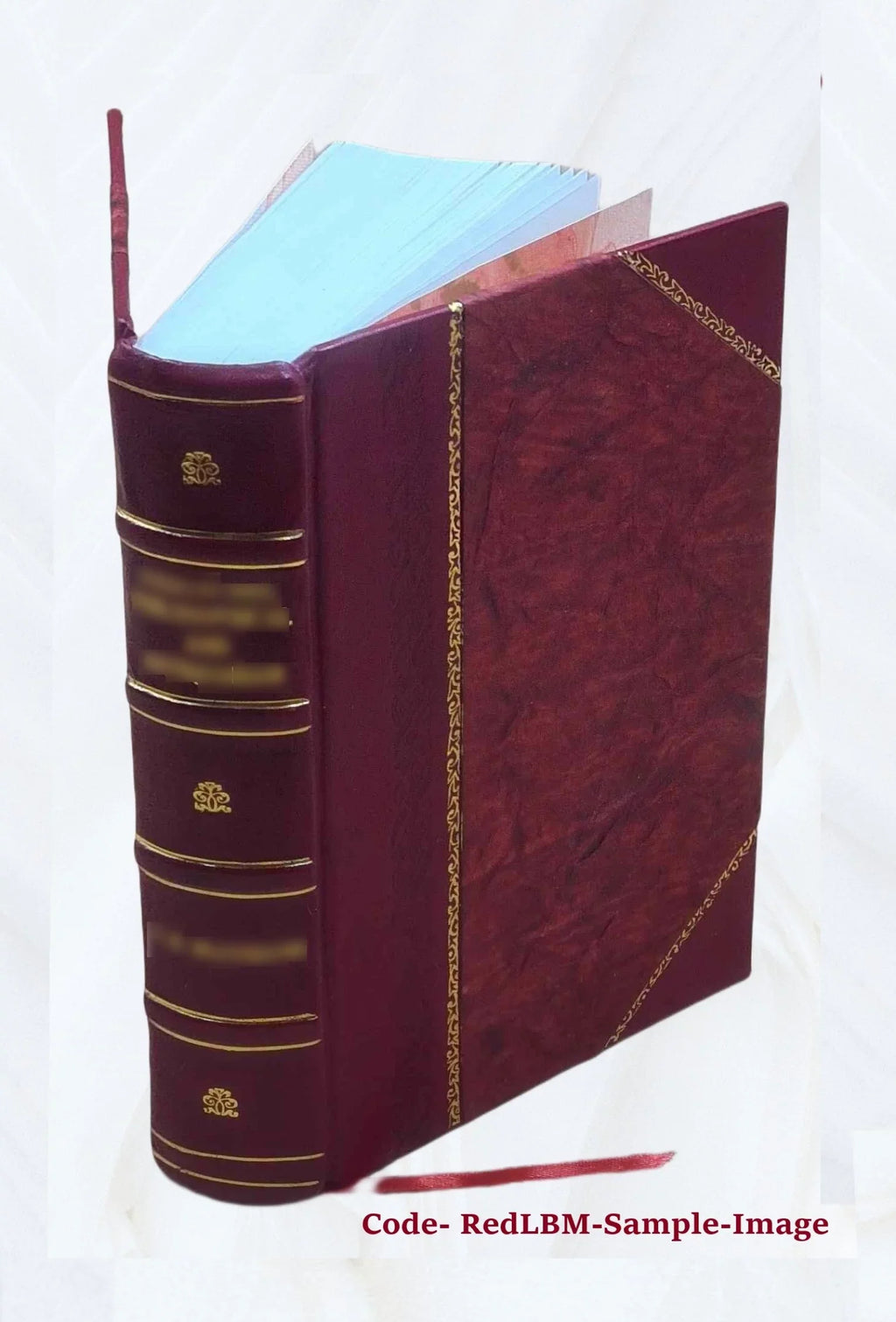 Apparatus biblicus; sive Manuductio ad Sacram Scripturam; tum clariùs; tum faciliùs intelligendam. Auctore r.p. Bernardo Lamy; .. 1723 [Leather Bound]