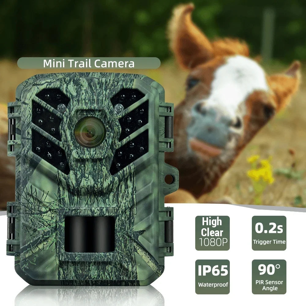 Pristin Camera;Weatherproof 0.2S Speed IP65 Weatherproof 0.2S Months Standby IP65 Camera Motion Small Camera Portable Animal/Plant Outdoor Use 6 Vision Camera Motion Speed Camera Portable