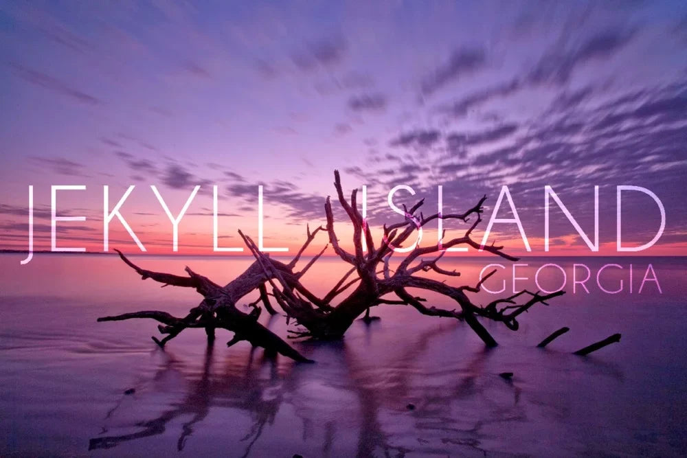 Jekyll Island; Georgia; Driftwood on Beach at Sunset (19x27 inches; Premium 500 Piece Jigsaw Puzzle for Adults and Family; Made in USA)