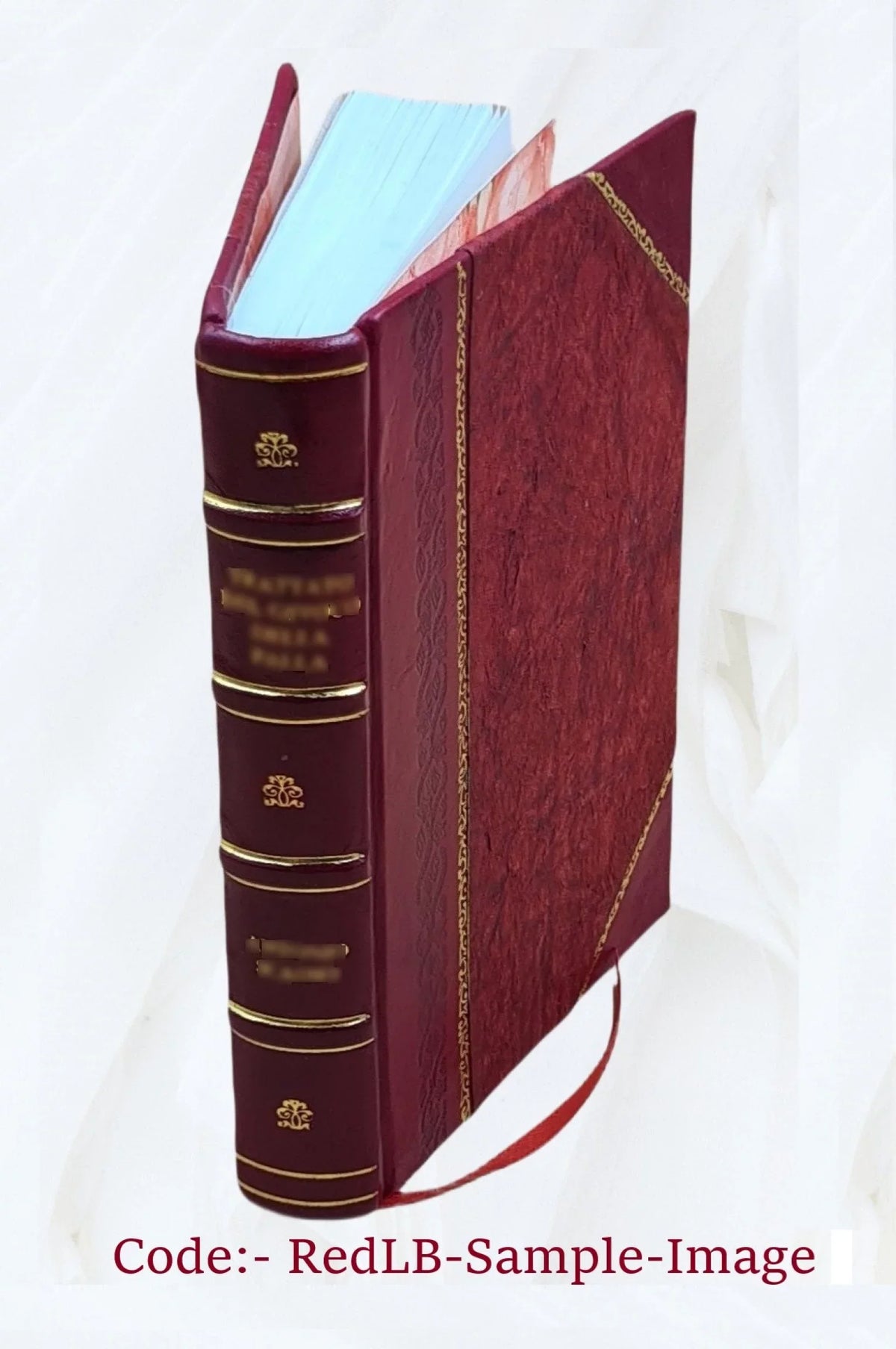 Sulle strade ferrate pontificie pensieri economico-amministrativi 1846 [Leather Bound]