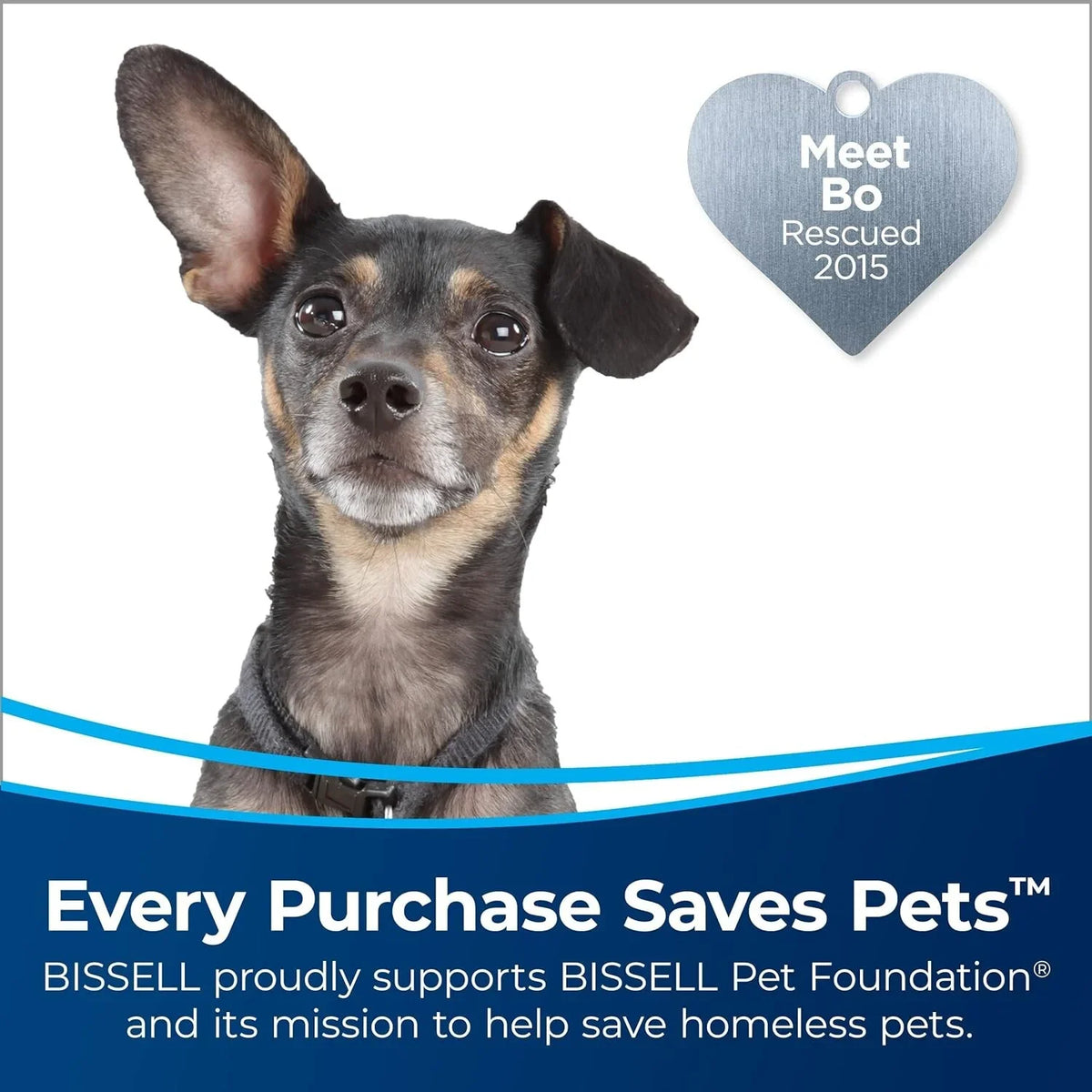 Bissell CleanView Swivel Rewind Pet Reach Vacuum Cleaner; with Quick Release Wand; Swivel Steering and Automatic Cord Rewind; 3197A (Color may vary);Black
