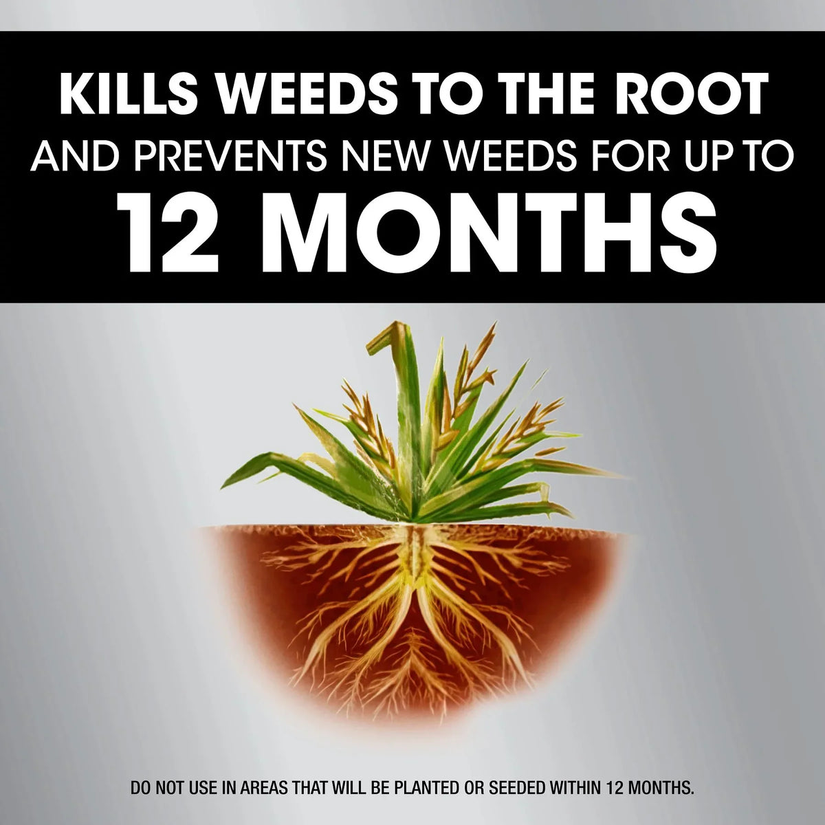Roundup Dual Action 365 Weed & Grass Killer Plus 12 Month Preventer Refill; 1.25 gal.